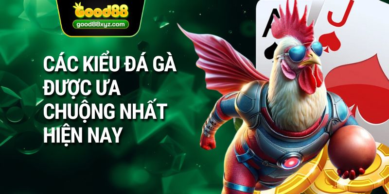 Đá Gà Thomo GOOD88 | Chiêm Ngưỡng Những Chiến Kê Bản Lĩnh - Spinora69