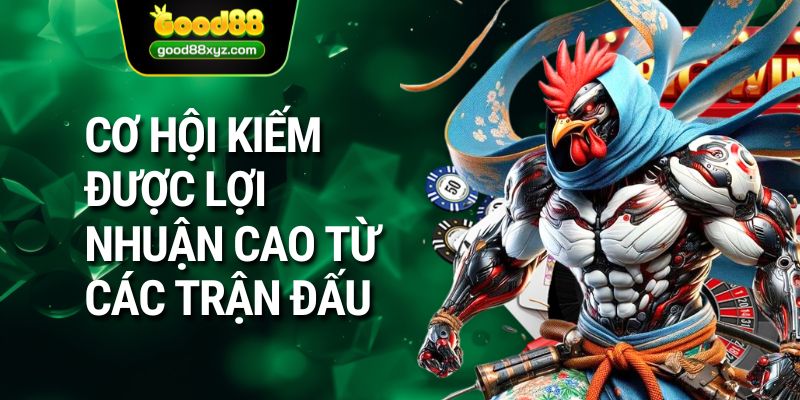 Đá Gà Thomo GOOD88 | Chiêm Ngưỡng Những Chiến Kê Bản Lĩnh - Spinora69