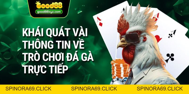 Đá Gà Trực Tiếp | Sàn Đầu Máu Lửa Và Nhiệt Huyết T GOOD88 - Spinora69