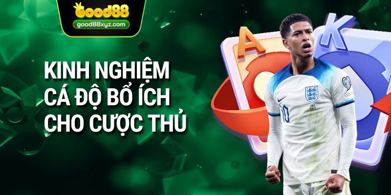 Kèo Tài Xỉu - Lưu Ý Khi Cá Độ Bóng Đá Trực Tuyến 2026 - Spinora69