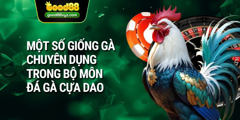 Đá Gà Cựa Dao | Sàn Cá Cược Hàng Đầu Tại GOOD88 - Spinora69