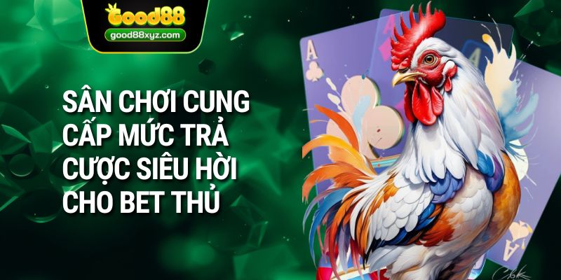 Đá Gà Cựa Dao | Sàn Cá Cược Hàng Đầu Tại GOOD88 - Spinora69